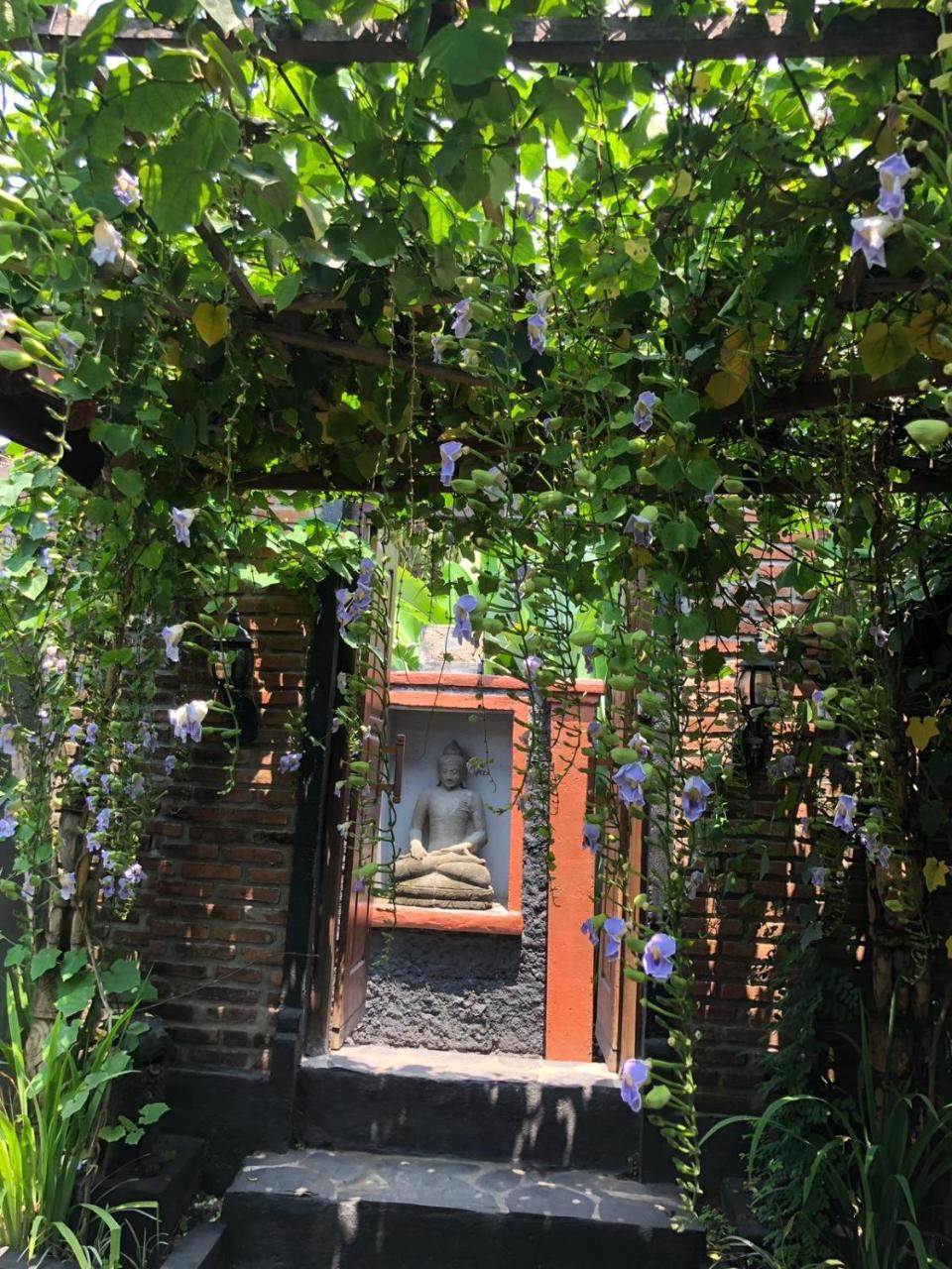Tribe Theory Startup Village For Entrepreneurs Kuta Lombok Dış mekan fotoğraf